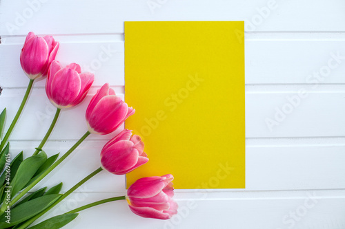 spring pink tulips and yellow paper on white background, top view, postcard