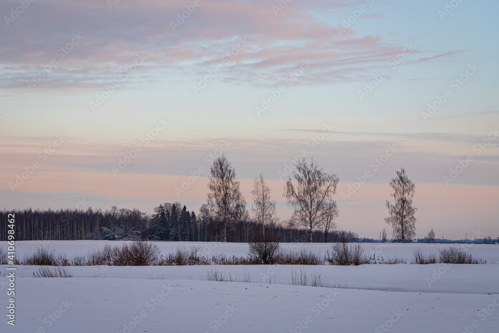 winter landscape in sunset with trees winter landscape in sunset with trees