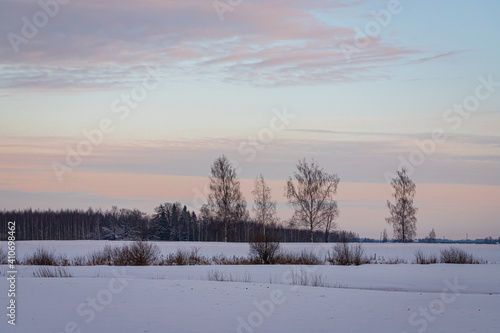winter landscape in sunset with trees