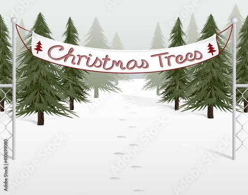 Christmas trees for sale on a snowy tree lot with footprints going in
