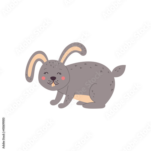 vector illustration of rabbits on white isolated background. Lovely rabbits for veterinary design.