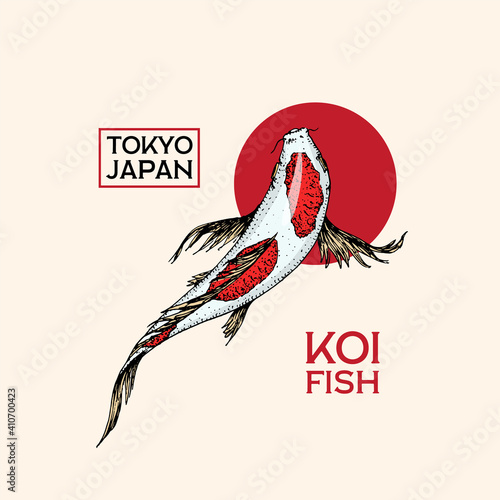 Koi carp and red sun, Japanese fish badge. Korean animal logo. Engraved hand drawn line art Vintage tattoo monochrome sketch for poster or label.