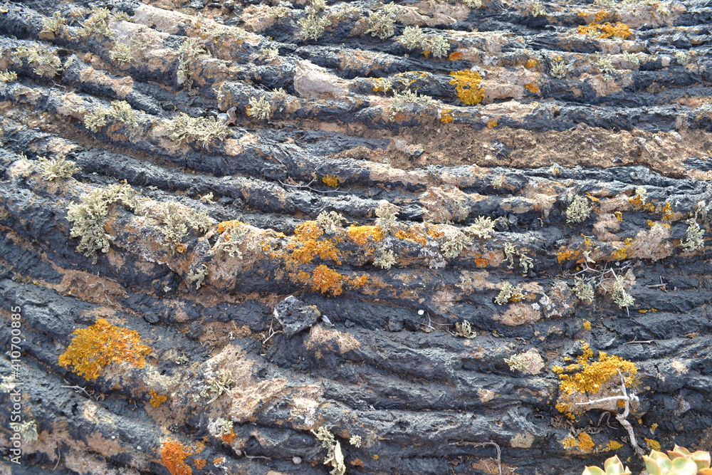 Obraz premium lave en détail