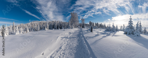 Panorama Beskidu Śląskiego w zimowej scenerii