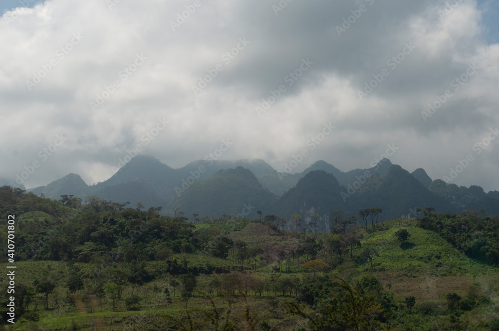 Fototapeta premium vida silvestre en México
