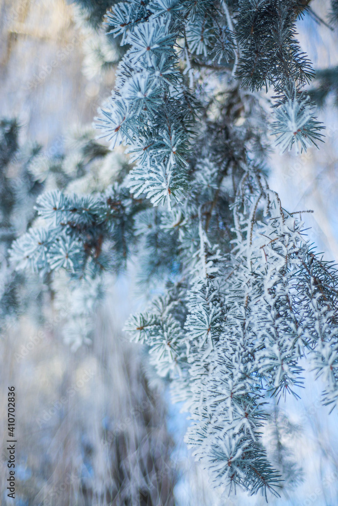 Winter. White. Snow. Cold. Ice. Blue sky. Postcard. 47 Winter. White. Snow. Cold. Ice. Blue sky. Postcard. 47
