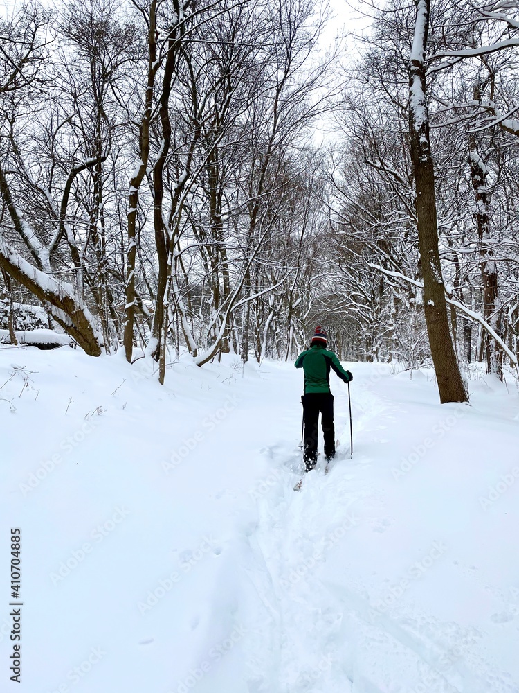 Cross country ski in the snowy woods