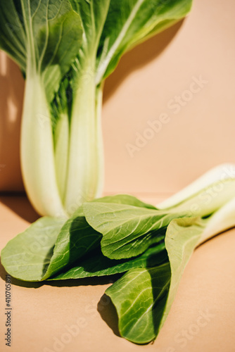 Pak Choi, pok choi, bok choy, fresh green Chinese cabbage on beige background, close up. Healthy lifestyle theme