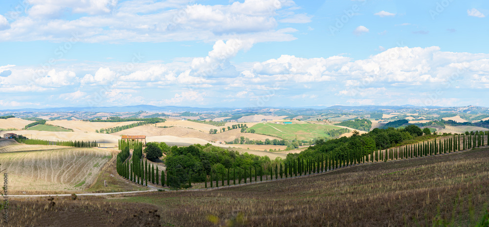 Typical Tuscany landscape in summer, with cultivated fields and wine yards, poplar trees and old farm buildings in a hill and valley landscape, near Montepulciano and Montalcino, Val d'Orcia, Italy