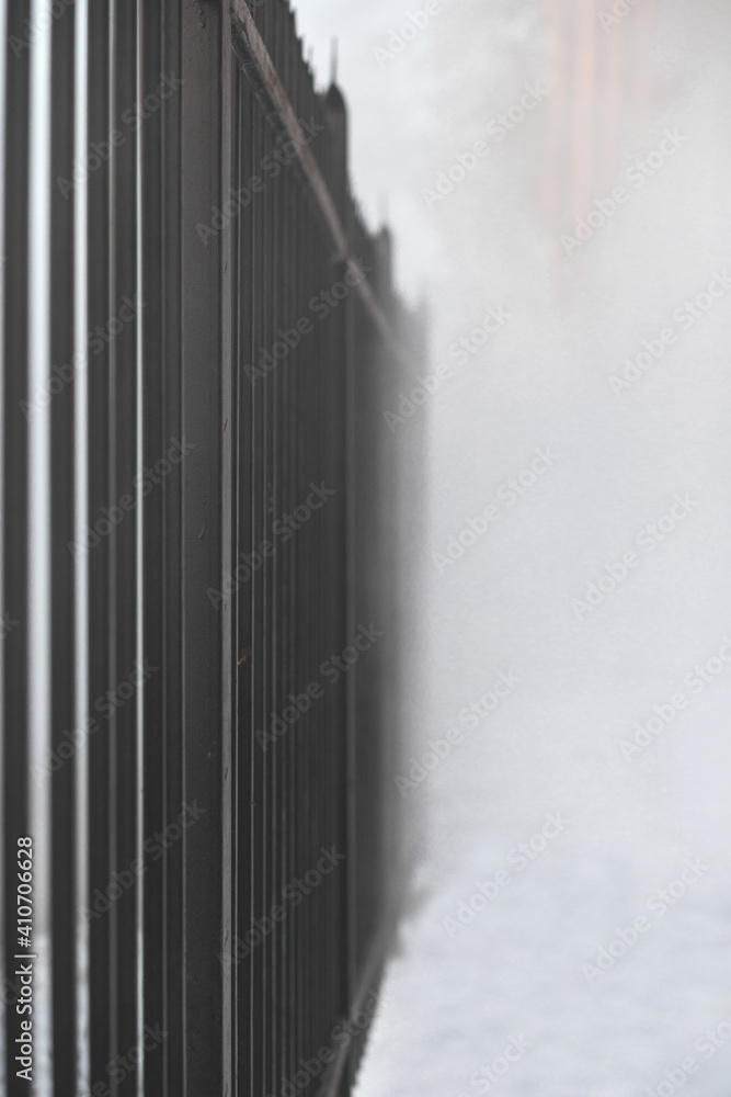 foggy forest behind a black wrought-iron fence foggy forest behind a black wrought-iron fence