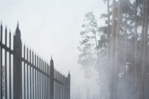 foggy forest behind a black wrought-iron fence © Iuliia Tregub