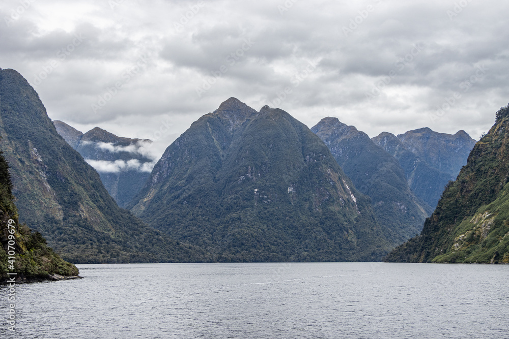 Fjord Environment  in Doubtful Sound, Fiordland, New Zealand