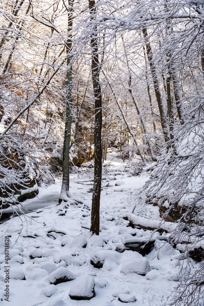 Early morning light shining on the snow covered trails. Matthiessen state park, Illinois, USA. Early morning light shining on the snow covered trails. Matthiessen state park, Illinois, USA.