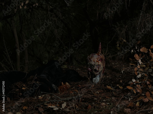 Bild auf Leinwand crime dans les bois