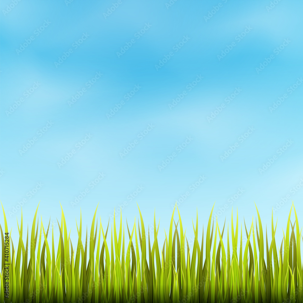 Fototapeta premium Cartoons Landscape with blue sky and green grass meadow background. vector illustration