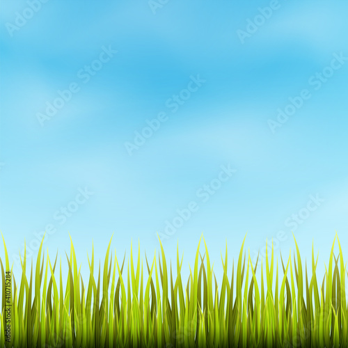 Cartoons Landscape with blue sky and green grass meadow background. vector illustration