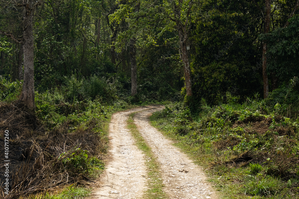 Empty rural road hiking trail in the forest. Chitwan Jungle Nepal Empty rural road hiking trail in the forest. Chitwan Jungle Nepal