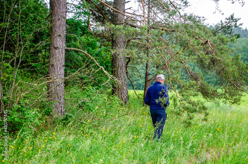 A man picks mushrooms near the forest edge