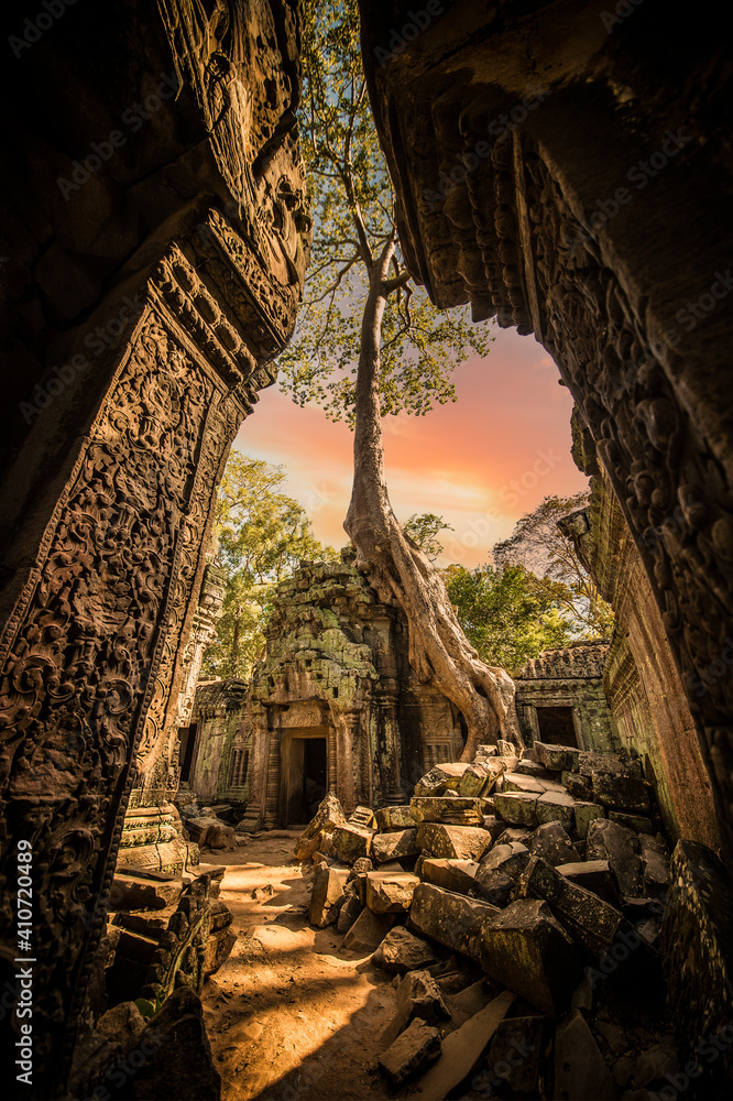 Obraz premium (Selective focus) Stunning view of the Ta Prohm temple with a big old tree. Ta Prohm is the modern name of the temple in Siem Reap, Cambodia.