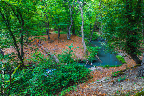 Small river in a dense fore...