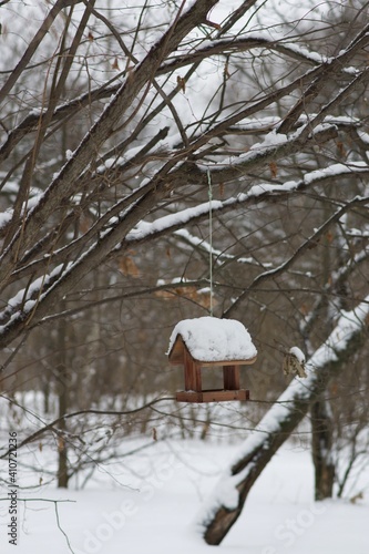 snow covered feeder