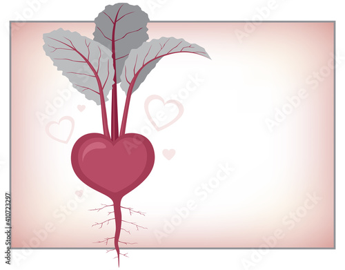 Heart Beet, a vegetable Valentine heart shaped beetroot
