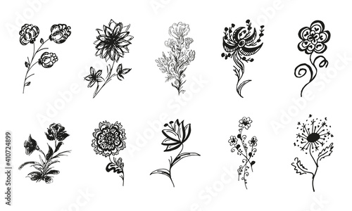 10 hand-drawn blossom wildflowers. Big collection of 10 hand-drawn roses. Big floral botanical set. Isolated on white background. Doodle simple vector collection.