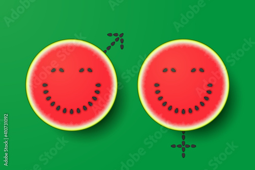 Male and female gender symbols made from watermelons and seeds