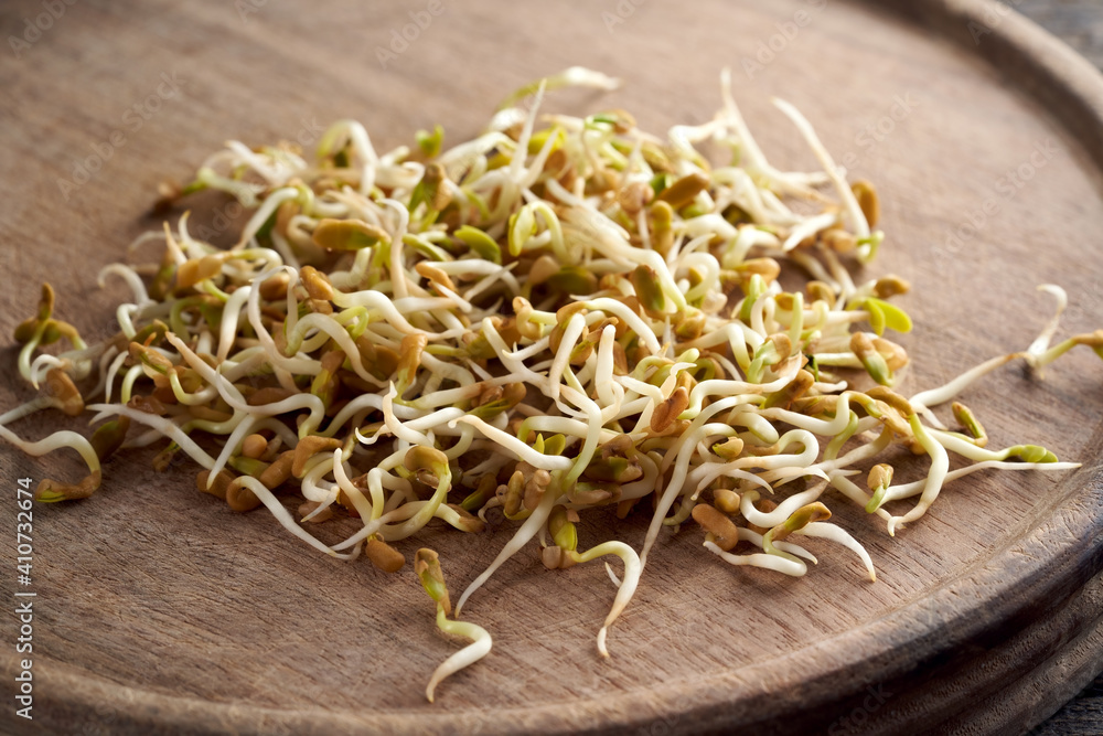 Fresh fenugreek sprouts on a wooden table Fresh fenugreek sprouts on a wooden table