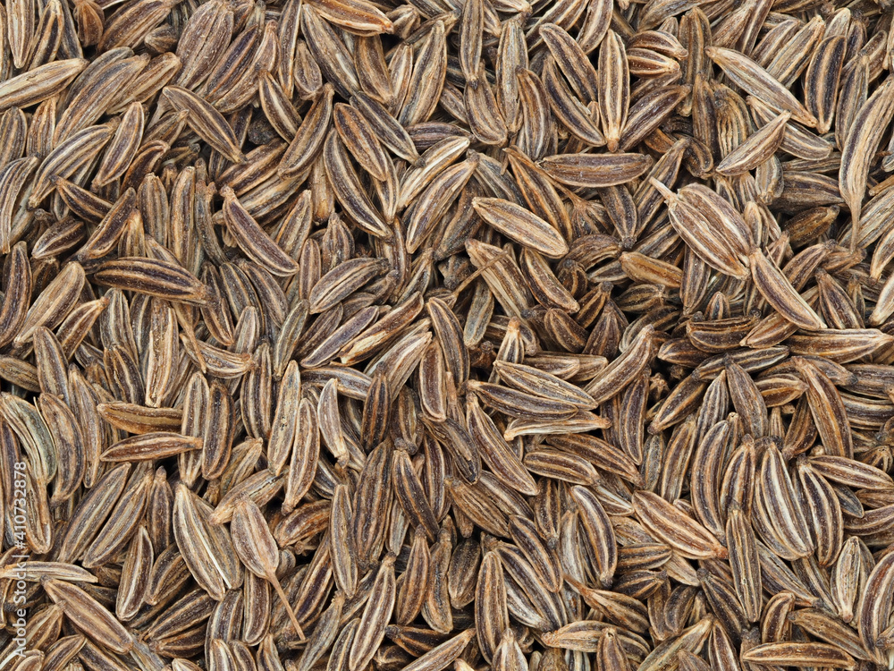 Background from dry cumin seeds. Close-up. Seasoning.