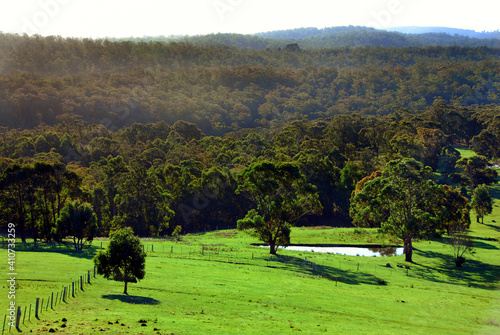 Hazy Day View of a Paddock and Pond near Ballan, Victoria, Australia photo