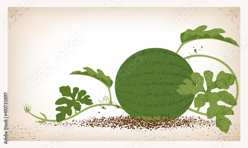 A watermelon on a growing vine made with textures
