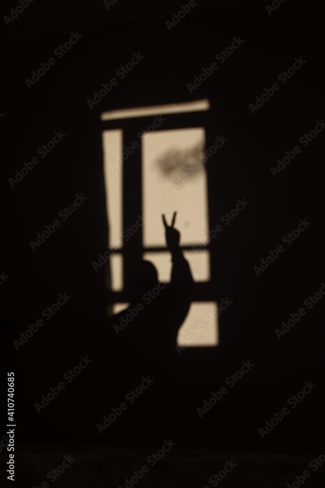 Naklejka premium silhouette of people doing victory sign