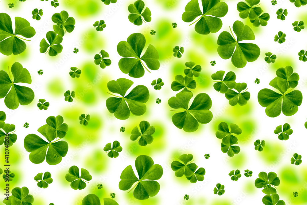 green clover leaves isolated on white background. St.Patrick 's Day green clover leaves isolated on white background. St.Patrick 's Day
