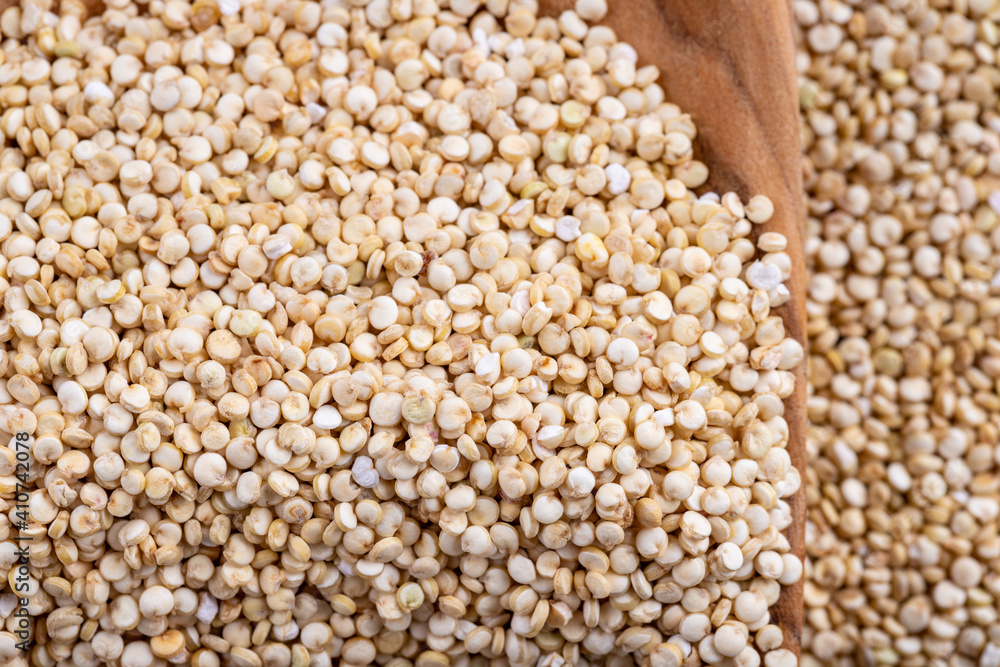 White quinoa background with a wooden spoon, macro closeup White quinoa background with a wooden spoon, macro closeup