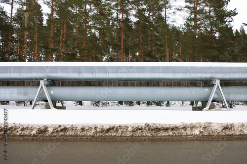 pipeline on the background of a green forest
