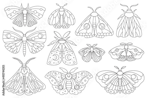 Hand drawn moth collection. Boho elements with butterflies for decoration. Mystery symbols