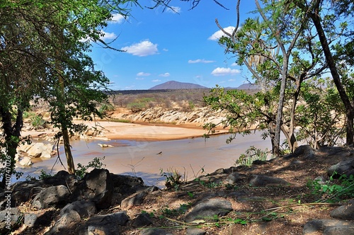Widok z pomiędzy drzew na rzekę i step. Rezerwat Shaba (Kenia)
