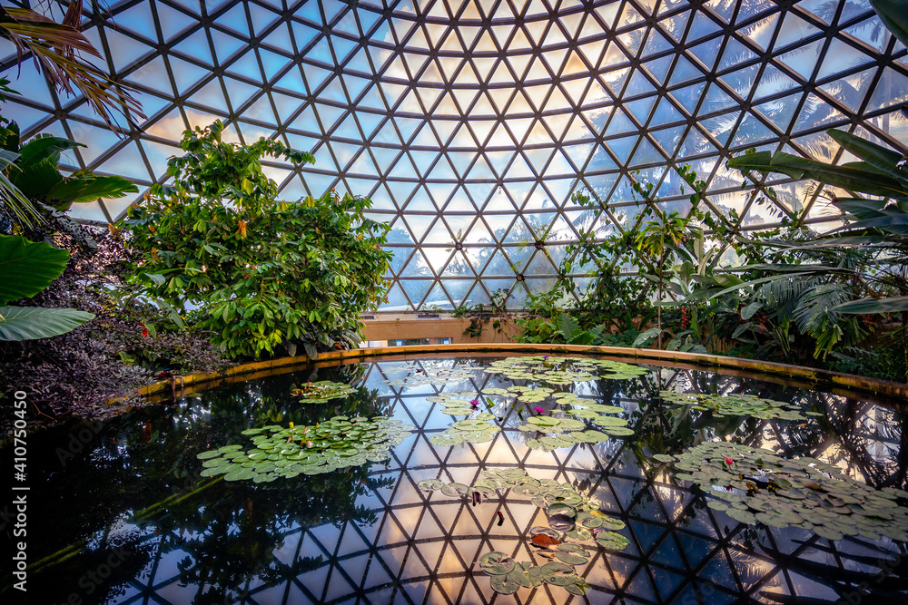 Φωτογραφία Tropical Display Dome inside the Brisbane botanic gardens