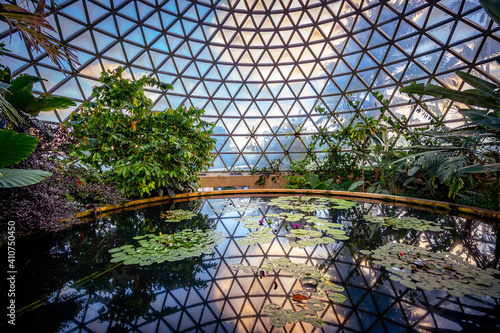 Fotografia, Obraz Tropical Display Dome inside the Brisbane botanic gardens