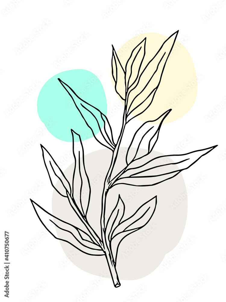 Plant drawing, modern design. Abstract Plant Art design for print, cover, wallpaper. Vector illustration Plant drawing, modern design. Abstract Plant Art design for print, cover, wallpaper. Vector illustration