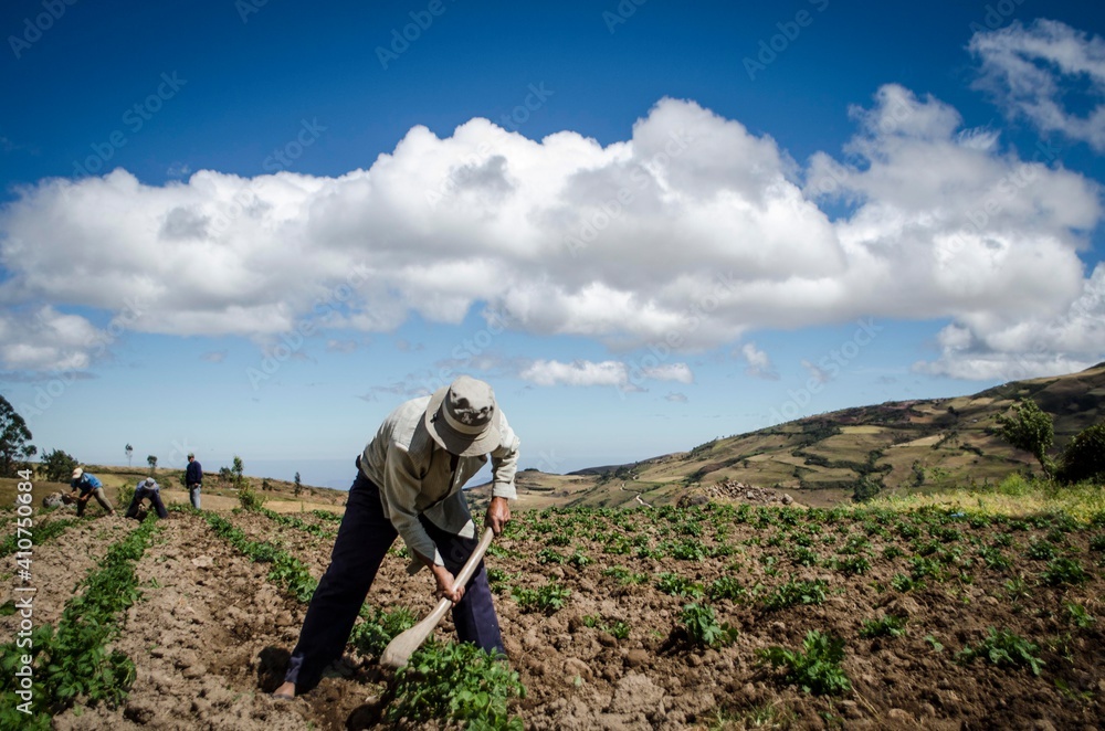agricultor arando Stock Photo | Adobe Stock