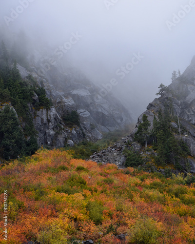 Autumn fog in the mountains