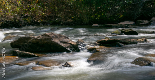 stream in the forest