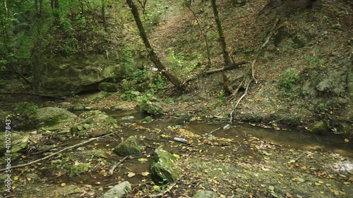 Grarbage dumps in the forest of Bechir's Creek near Soroca, Moldova photo