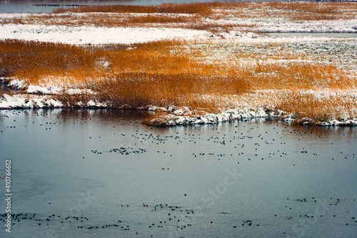 winter landscape with the steppen lake photo