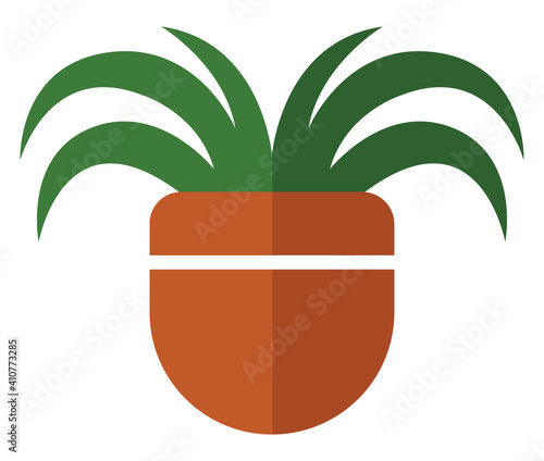 Adams needle plant in a pot, illustration, vector on white background.