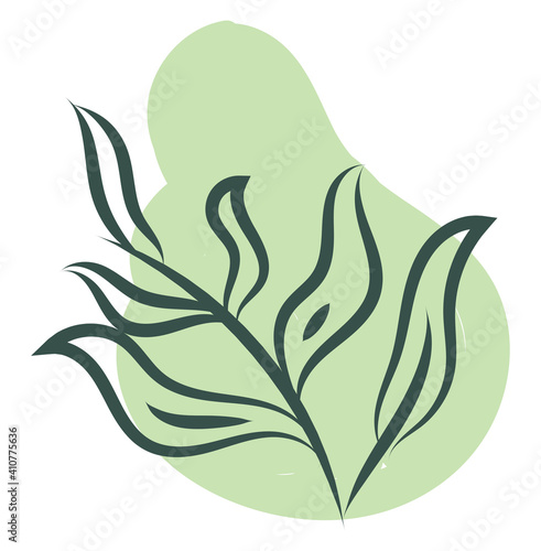 Green sea weed, illustration, vector on white background.