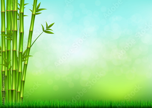 Fototapeta Naklejka Na Ścianę i Meble -  green bamboo stems and grass background