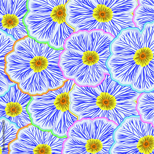 FLOR CEBRA